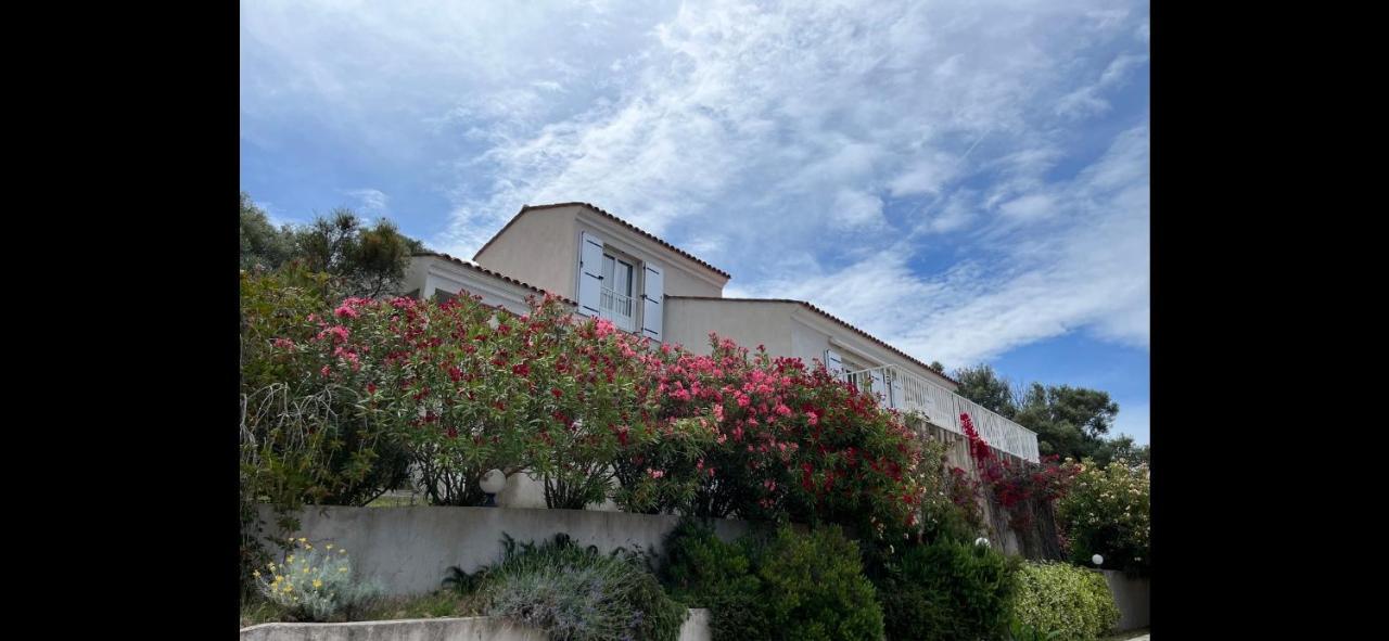 Residence Castugna Cargèse Exterior foto